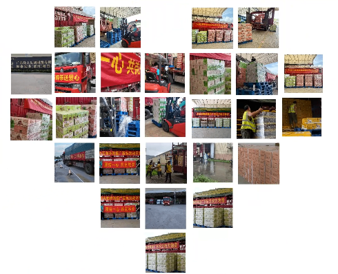 企业微信截图_17849490593453_副本.png